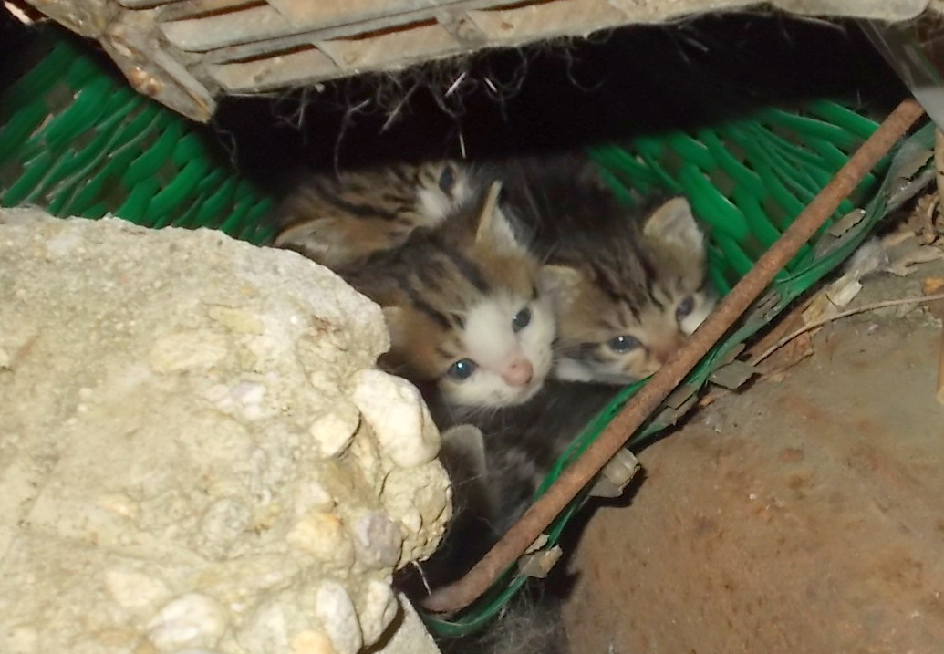 Натиснете снимката за да я уголемите

Име:DSCN4198.JPG
Прегледи:1
Размер:184.7 КБ
ID:5757127