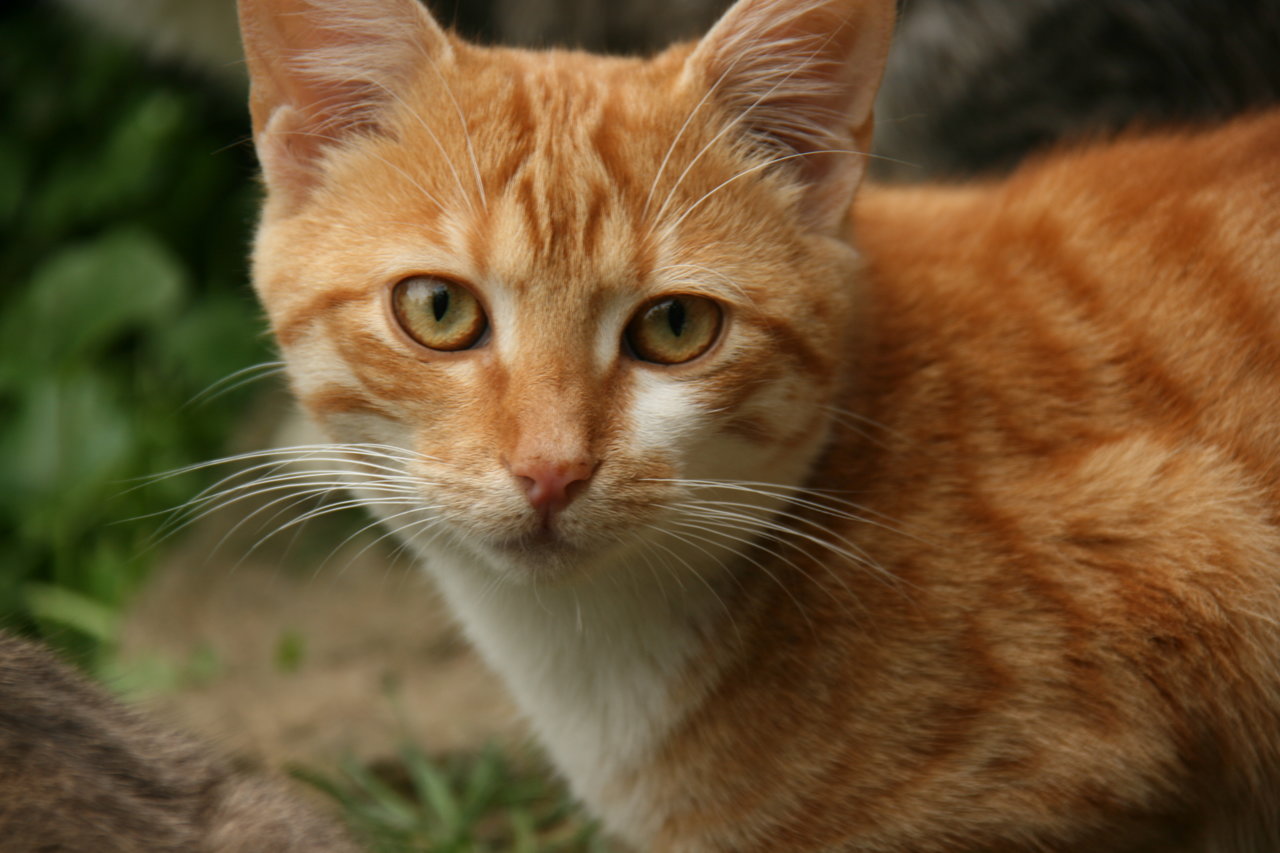 Натиснете снимката за да я уголемите

Име:rsz_img_5026.jpg
Прегледи:1
Размер:157.5 КБ
ID:5771425