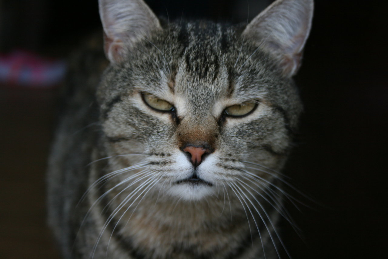 Натиснете снимката за да я уголемите

Име:rsz_img_4099.jpg
Прегледи:1
Размер:134.4 КБ
ID:5771426