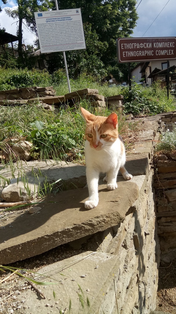 Натиснете снимката за да я уголемите

Име:IMG_20200522_170254.jpg
Прегледи:305
Размер:410.1 КБ
ID:6606426