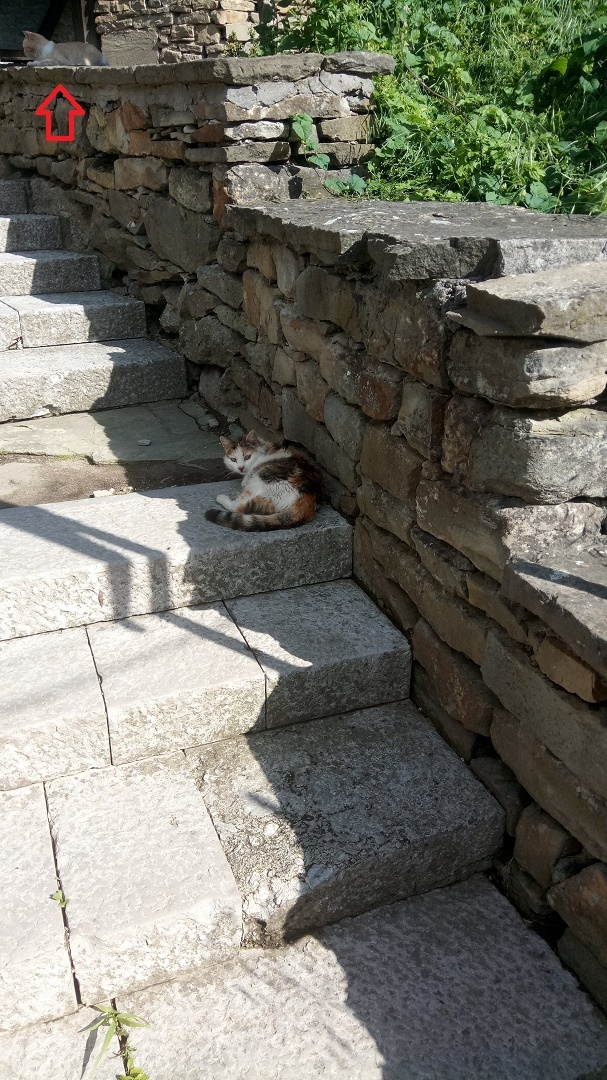 Натиснете снимката за да я уголемите

Име:IMG_20200522_170408.jpg
Прегледи:316
Размер:362.5 КБ
ID:6606429