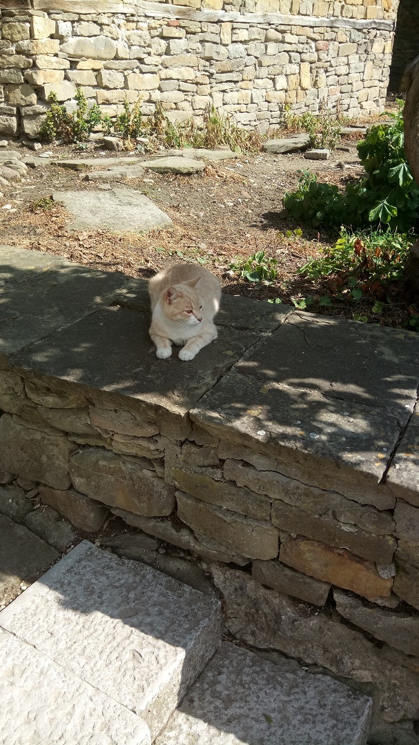 Натиснете снимката за да я уголемите

Име:IMG_20200522_170422.jpg
Прегледи:308
Размер:386.6 КБ
ID:6606430