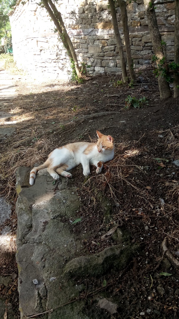 Натиснете снимката за да я уголемите

Име:IMG_20200522_170620.jpg
Прегледи:293
Размер:405.3 КБ
ID:6606431