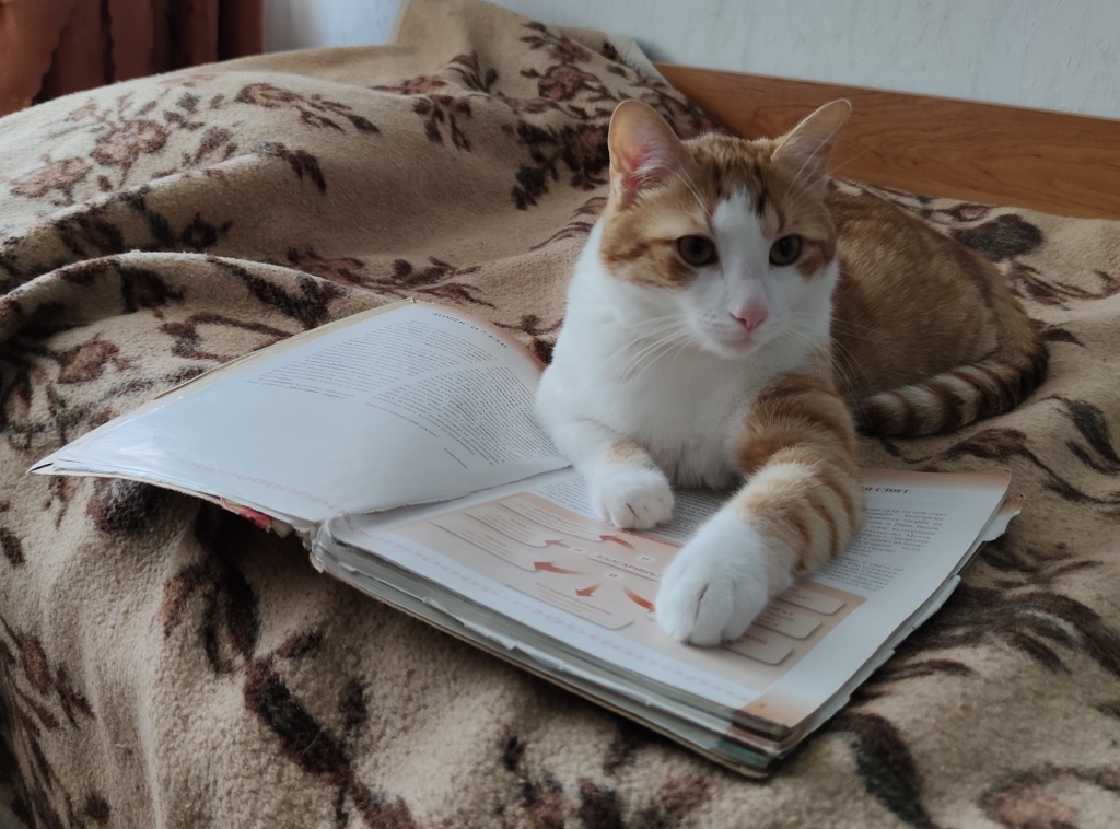 Натиснете снимката за да я уголемите

Име:IMG_20200526_115823.jpg
Прегледи:329
Размер:226.6 КБ
ID:6606865