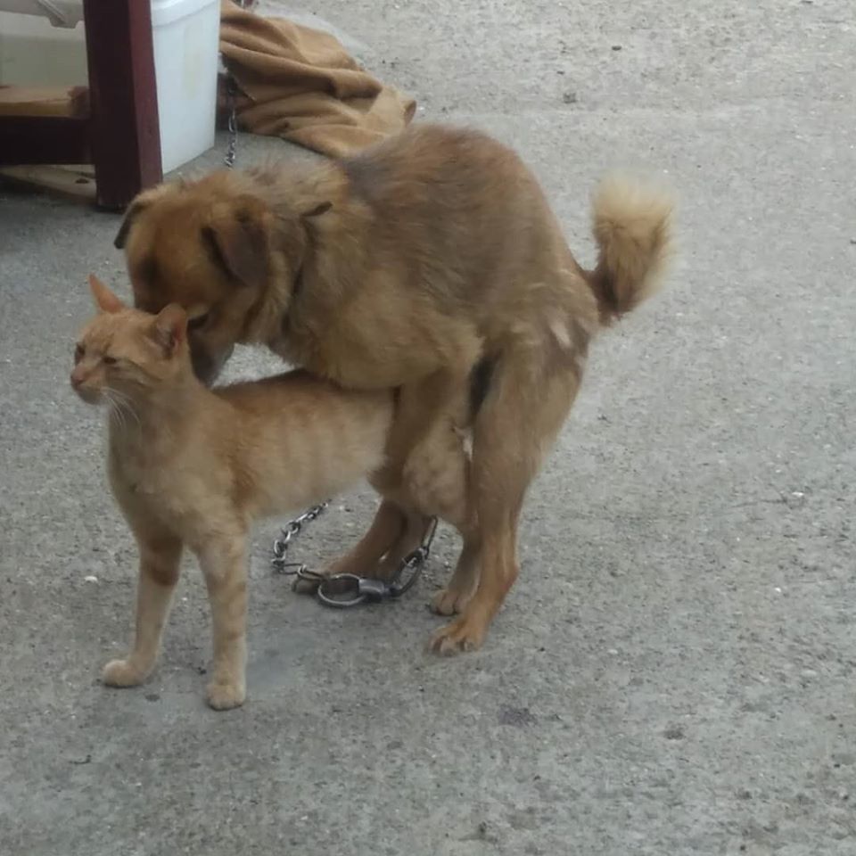 Натиснете снимката за да я уголемите

Име:99094330_10222479366871929_2347972429319503872_o.jpg
Прегледи:279
Размер:102.9 КБ
ID:6607286