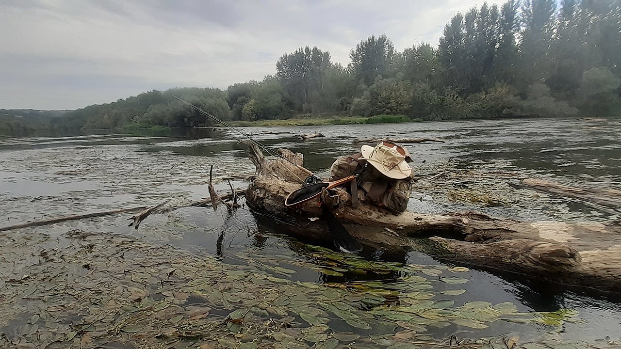 Натиснете снимката за да я уголемите

Име:20190923_122249.jpg
Прегледи:260
Размер:464.6 КБ
ID:6610108