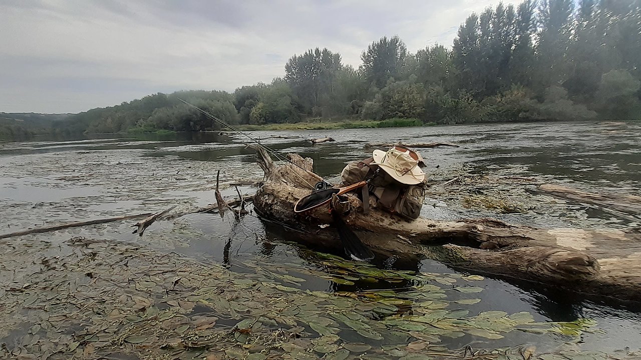 Натиснете снимката за да я уголемите

Име:20190923_122249.jpg
Прегледи:200
Размер:464.6 КБ
ID:6610108