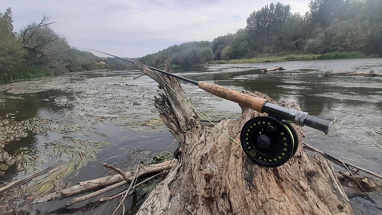 Натиснете снимката за да я уголемите

Име:20190923_122338.jpg
Прегледи:206
Размер:482.9 КБ
ID:6610110