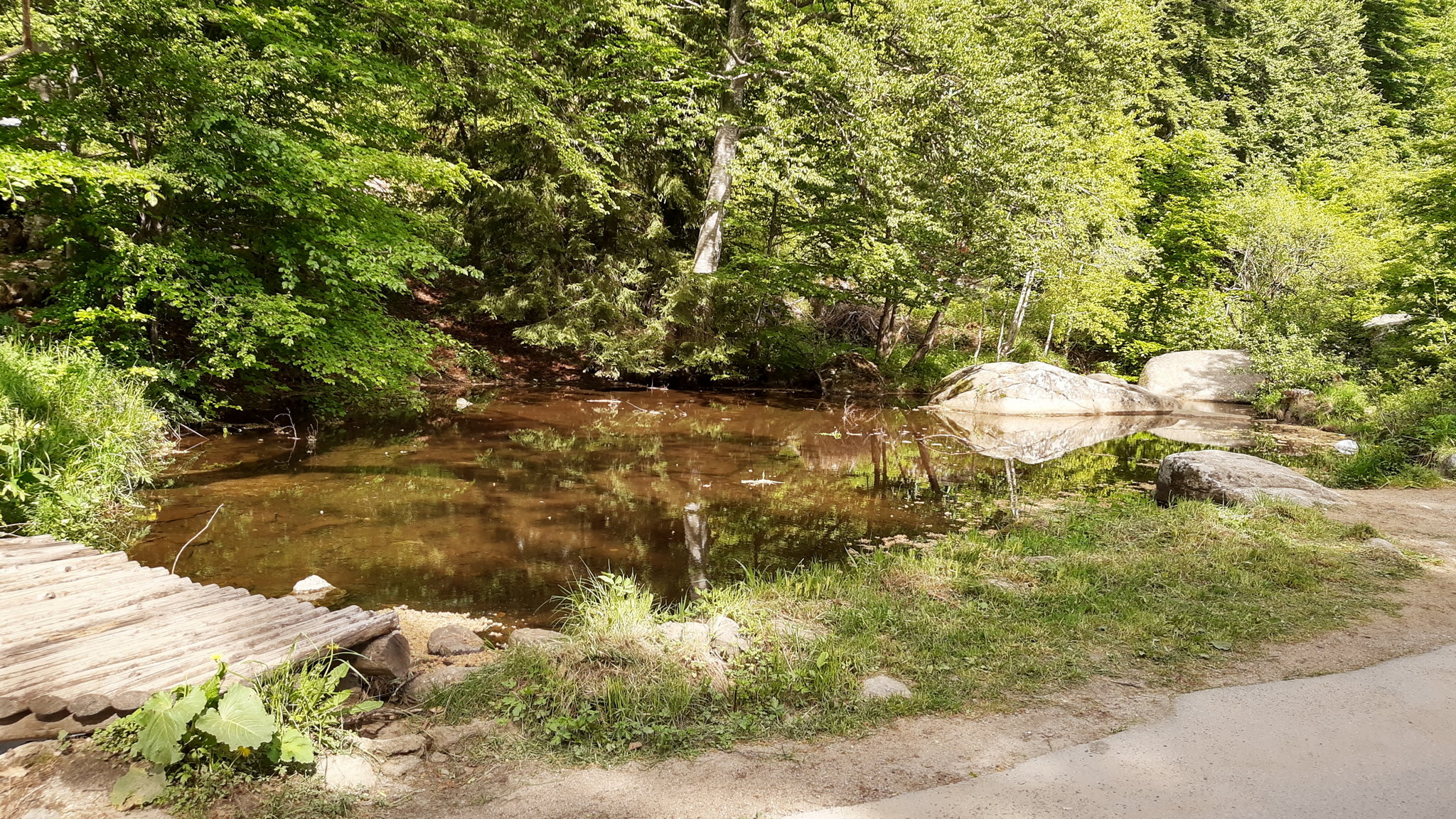 Натиснете снимката за да я уголемите

Име:IMG_20200605_163240293_HDR.jpg
Прегледи:347
Размер:1.01 МБ
ID:6610279