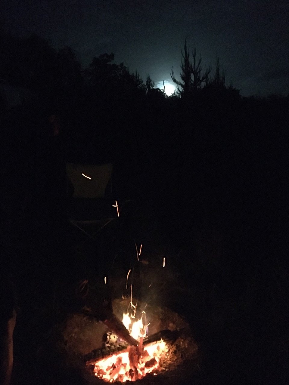 Натиснете снимката за да я уголемите

Име:BA2DF899-928D-42DE-8839-2D696B2CE24D.jpeg
Прегледи:820
Размер:211.6 КБ
ID:6610341