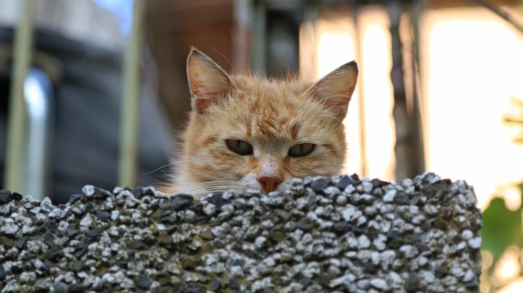 Натиснете снимката за да я уголемите

Име:IMG_3892 2.jpg
Прегледи:229
Размер:324.5 КБ
ID:6611786