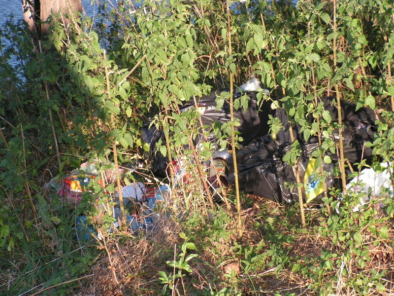 Натиснете снимката за да я уголемите

Име:PICT6841.JPG
Прегледи:261
Размер:228.1 КБ
ID:6612435