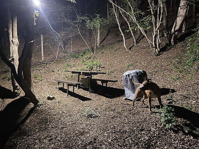 Натиснете снимката за да я уголемите

Име:IMG_0458.jpg
Прегледи:1459
Размер:1.04 МБ
ID:6615150