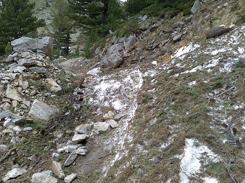 Натиснете снимката за да я уголемите

Име:Калин.jpg
Прегледи:368
Размер:351.1 КБ
ID:6616231