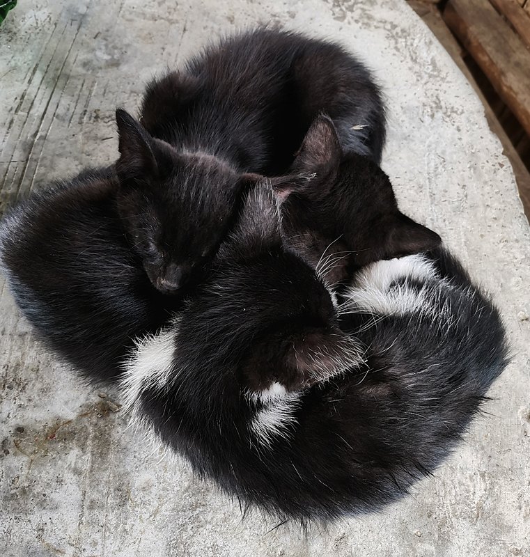 Натиснете снимката за да я уголемите

Име:IMG_20200705_112423_edited.jpeg
Прегледи:544
Размер:619.3 КБ
ID:6620390