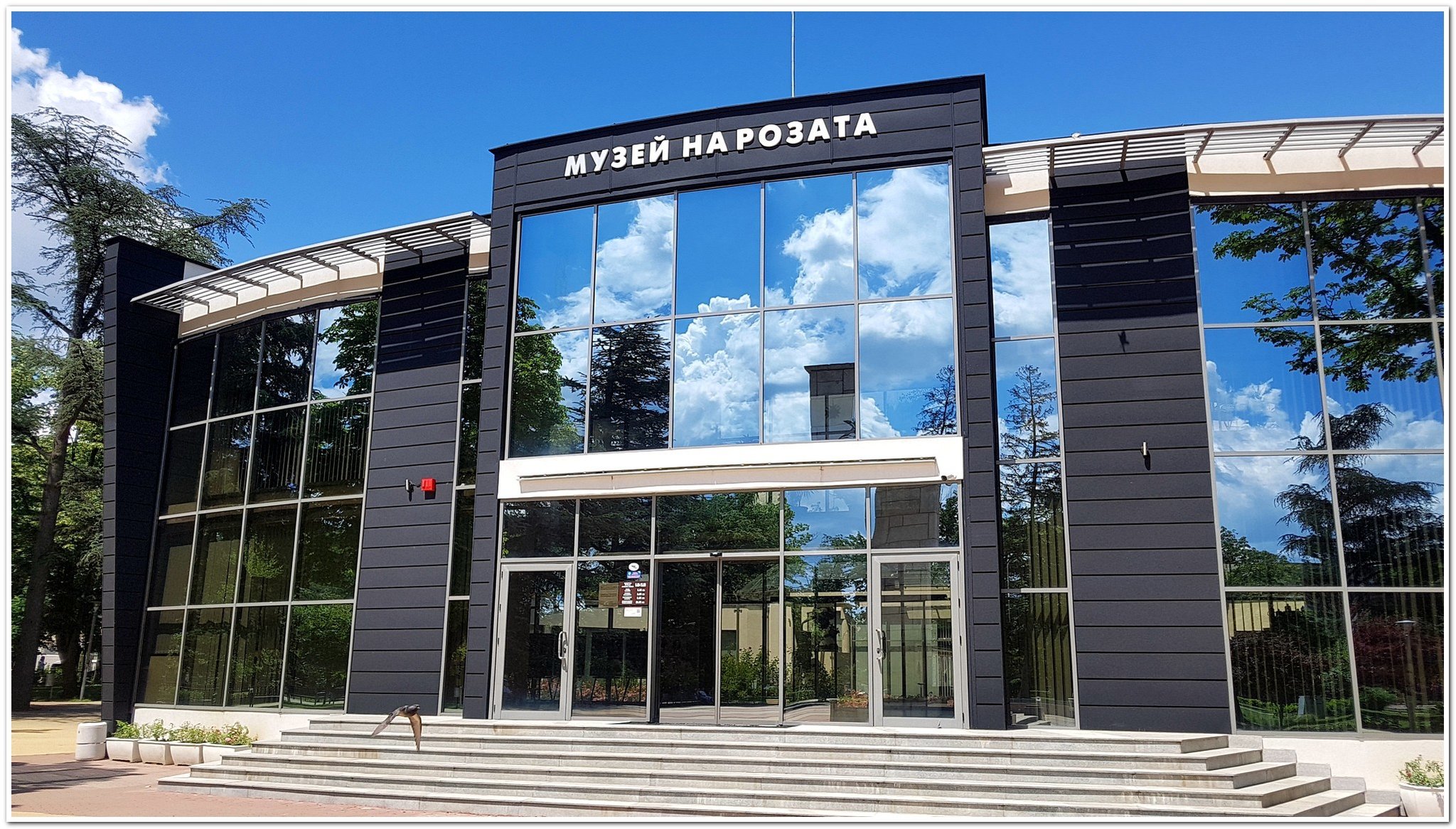 Натиснете снимката за да я уголемите  Име:20200619_145246.jpg Прегледи:0 Размер:597.5 КБ ID:6620595