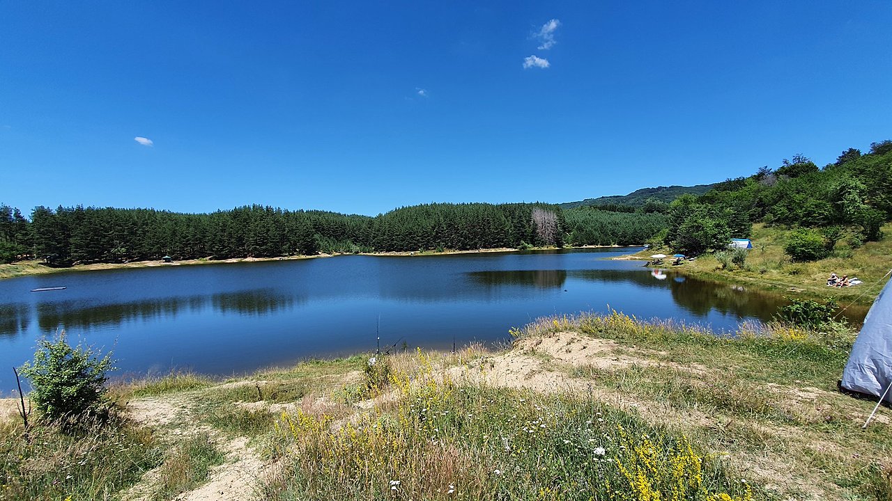 Натиснете снимката за да я уголемите

Име:20200711_131728.jpg
Прегледи:150
Размер:575.0 КБ
ID:6622807