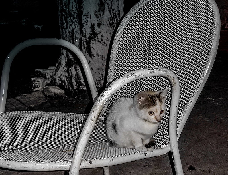 Натиснете снимката за да я уголемите

Име:IMG_20200717_234654-1.jpg
Прегледи:426
Размер:669.6 КБ
ID:6625354