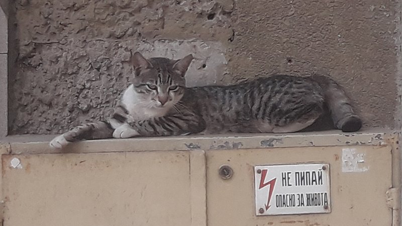 Натиснете снимката за да я уголемите

Име:Screenshot_20200717-194021_Gallery.jpg
Прегледи:420
Размер:439.2 КБ
ID:6625379