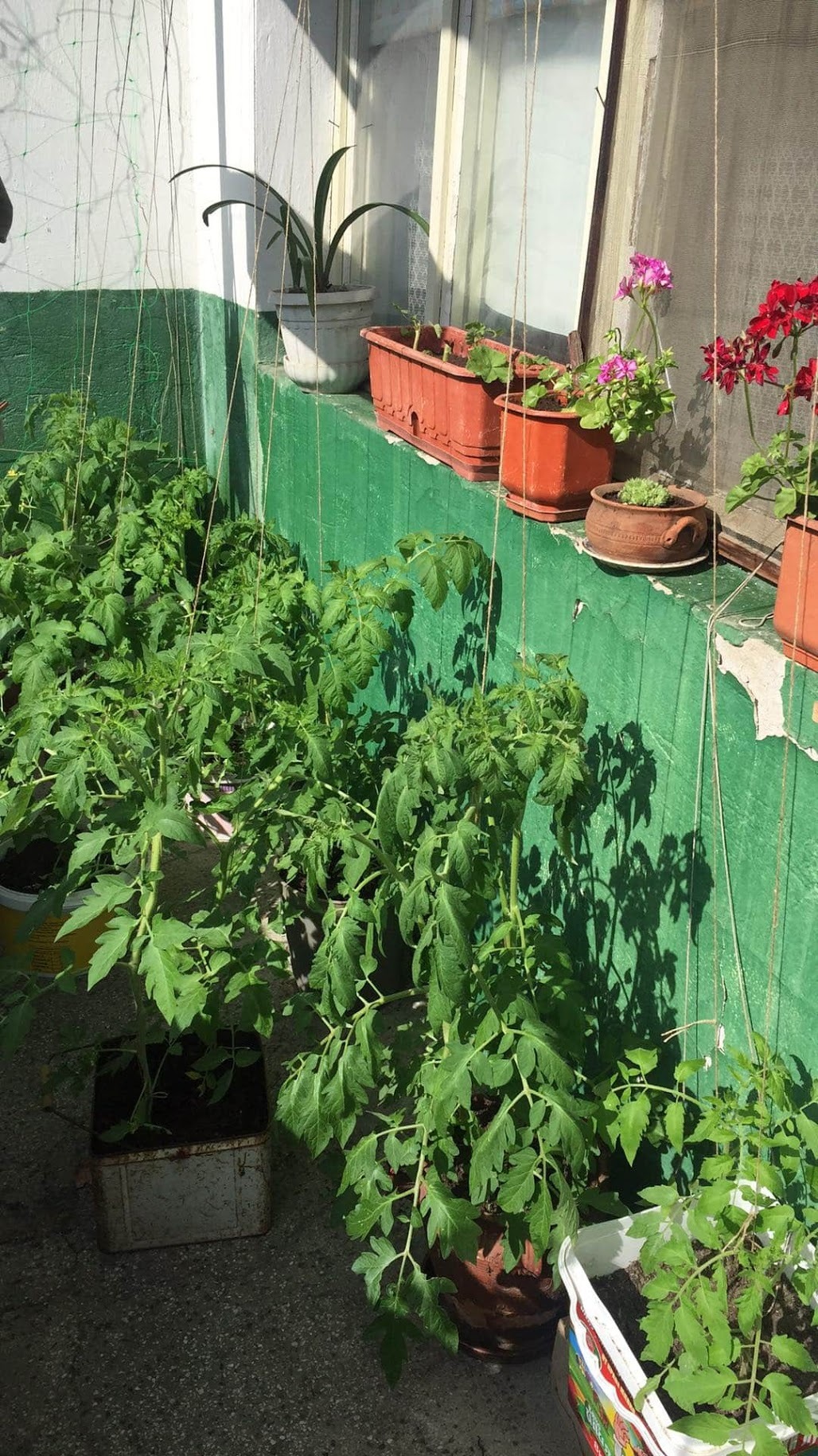 Натиснете снимката за да я уголемите

Име:received_2631421173798939.jpeg
Прегледи:941
Размер:657.7 КБ
ID:6625826