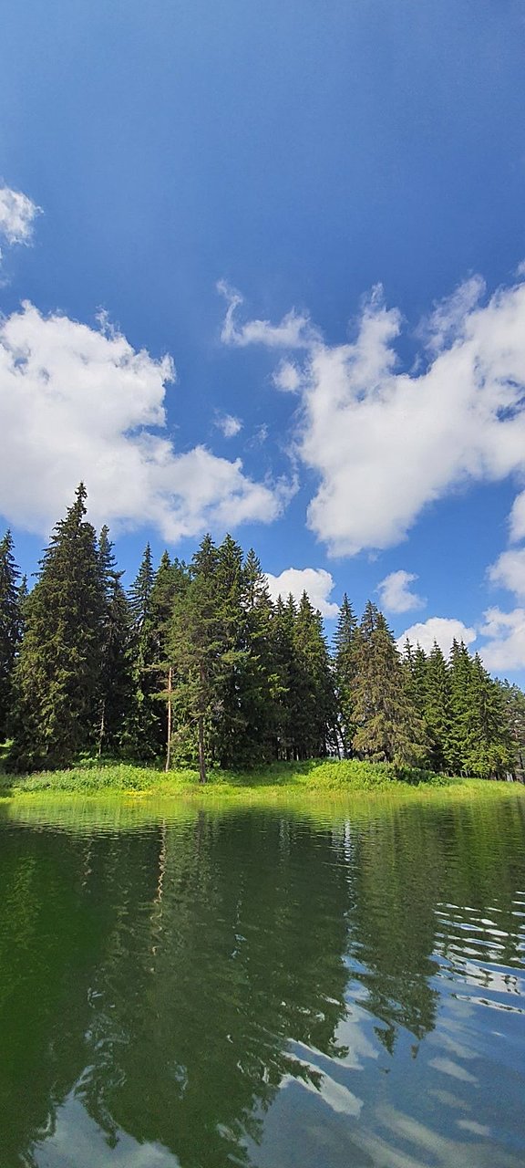 Натиснете снимката за да я уголемите

Име:86B2552B-3256-4050-9E45-450E9B9027B8.jpeg
Прегледи:475
Размер:225.5 КБ
ID:6625893