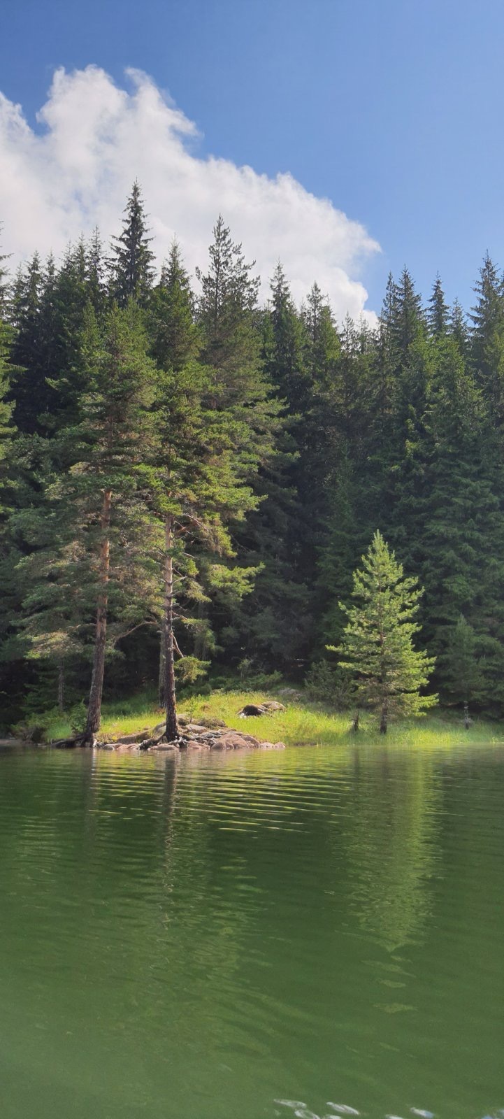 Натиснете снимката за да я уголемите

Име:291B7739-6480-4290-8FC1-C4CA6DD79064.jpeg
Прегледи:431
Размер:254.0 КБ
ID:6625894