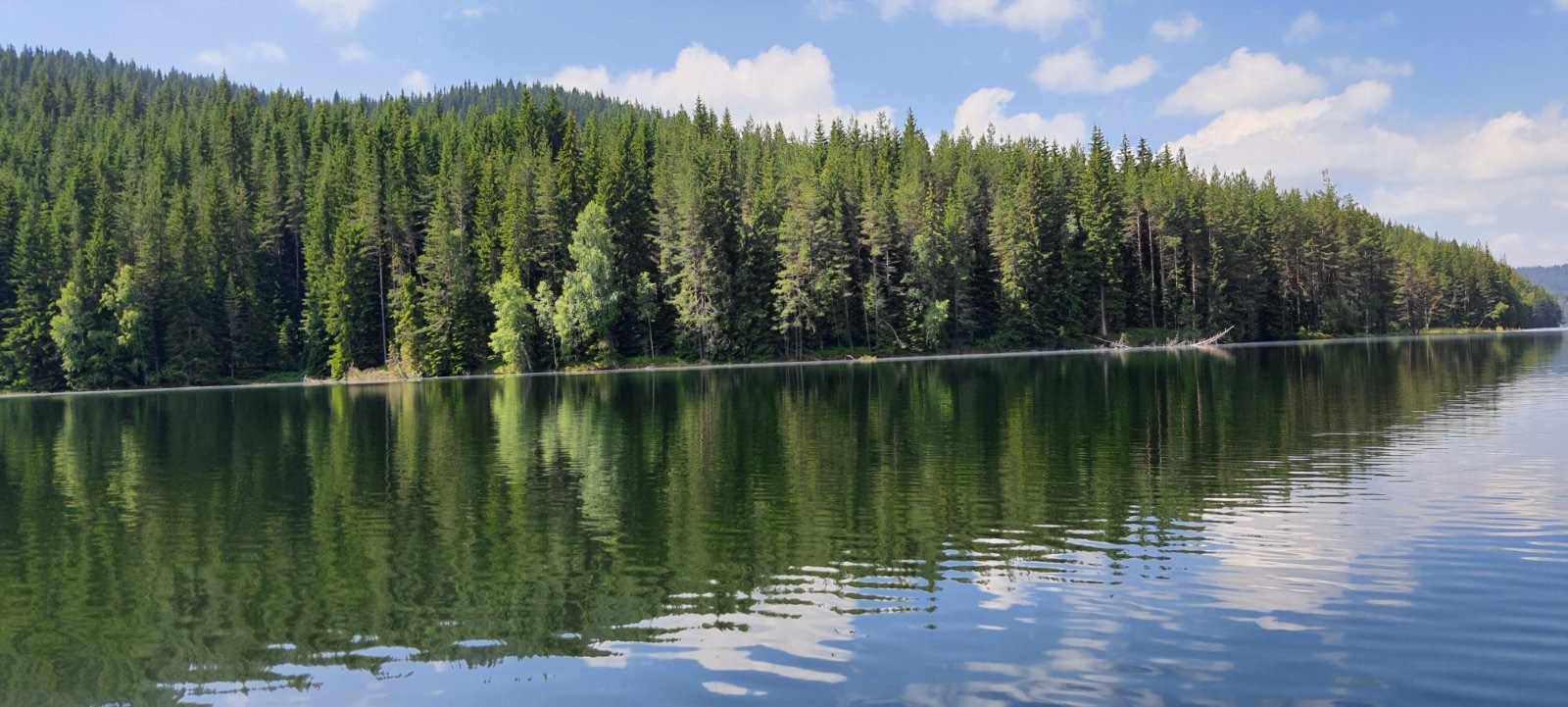 Натиснете снимката за да я уголемите

Име:0A0ADED0-FC27-4568-9CE1-116897D9E383.jpeg
Прегледи:421
Размер:299.9 КБ
ID:6625895