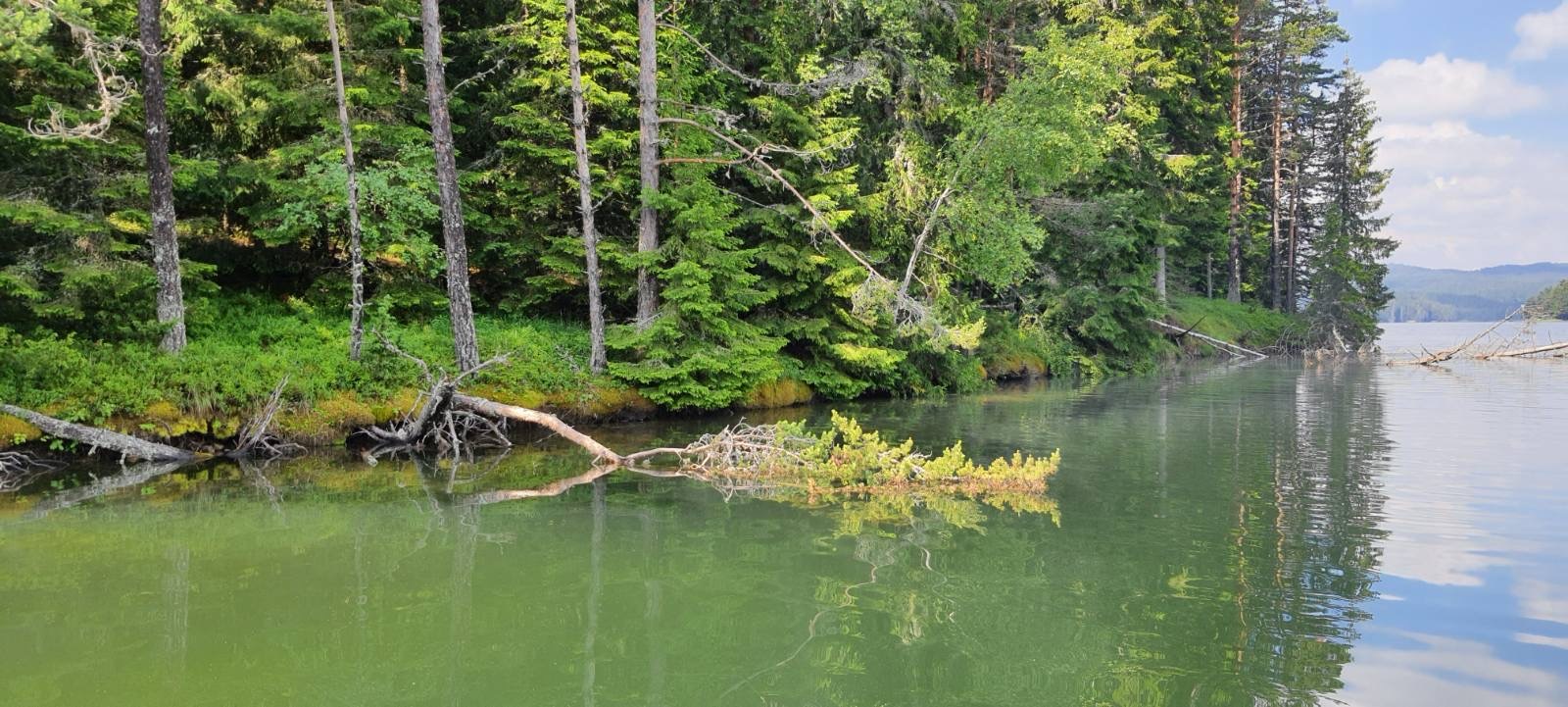 Натиснете снимката за да я уголемите

Име:F045A294-F508-4B66-9D44-C7B48A1C8D2C.jpeg
Прегледи:425
Размер:322.5 КБ
ID:6625896