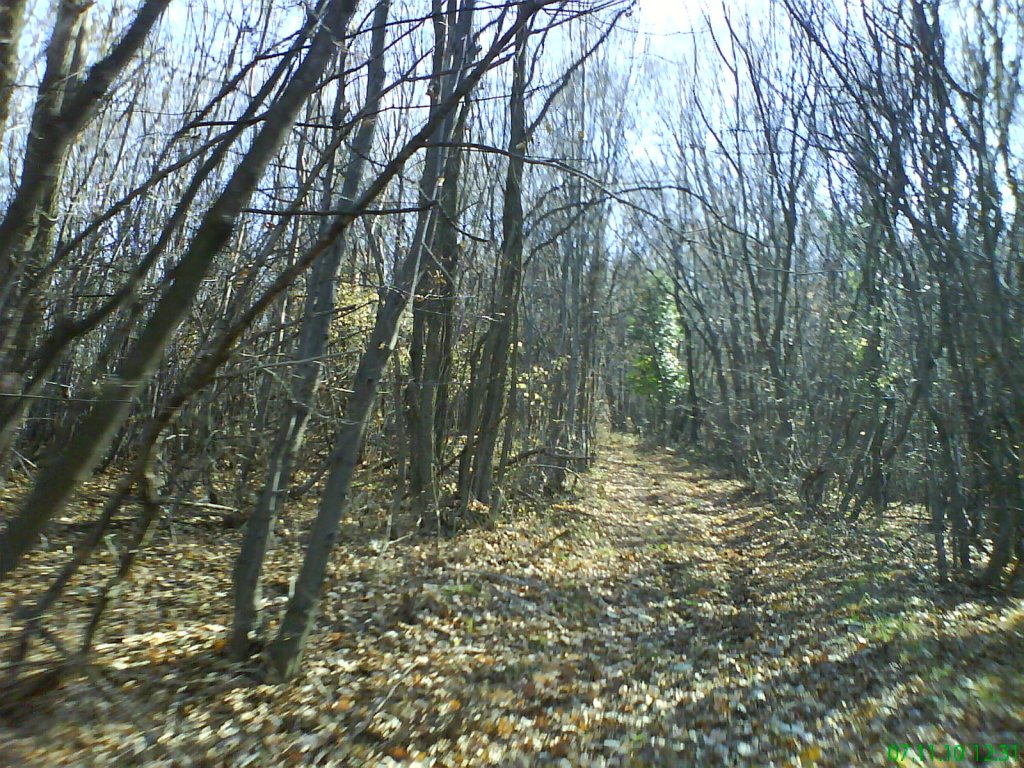 Натиснете снимката за да я уголемите

Име:DSC08011.jpg
Прегледи:1
Размер:279.5 КБ
ID:5229508
