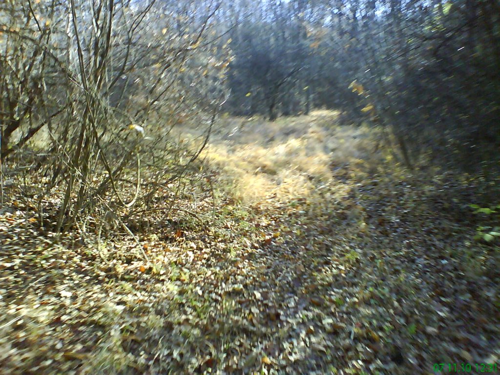 Натиснете снимката за да я уголемите

Име:DSC08014.jpg
Прегледи:1
Размер:246.9 КБ
ID:5229512
