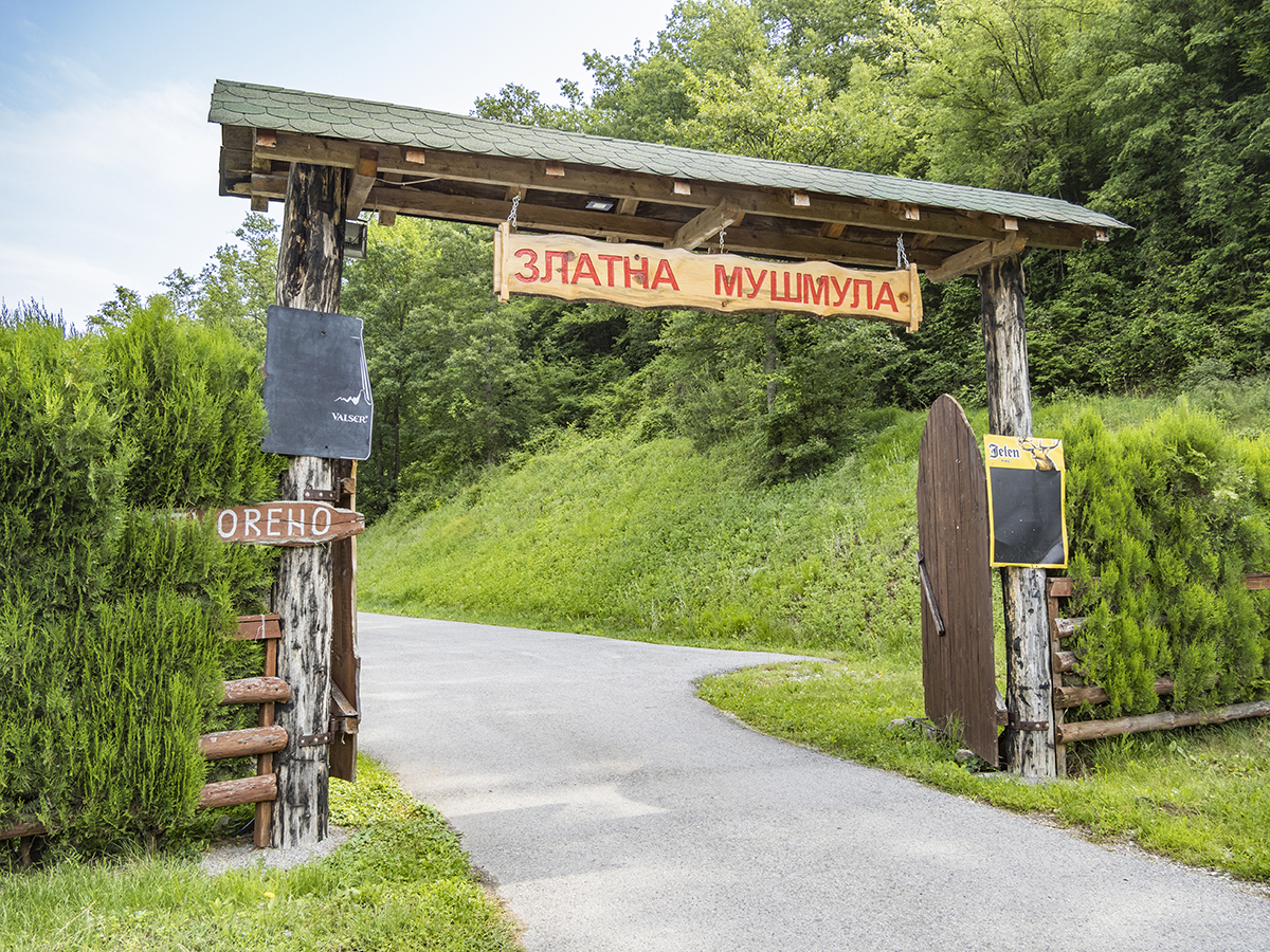 Натиснете снимката за да я уголемите  Име:P6130614.jpg Прегледи:0 Размер:1.37 МБ ID:6628333