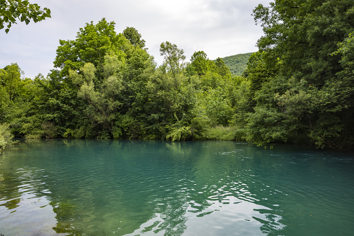 Натиснете снимката за да я уголемите  Име:DSC_8399.jpg Прегледи:0 Размер:1.05 МБ ID:6628341
