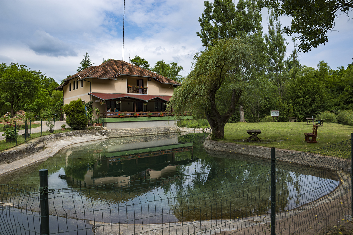 Натиснете снимката за да я уголемите  Име:DSC_8396.jpg Прегледи:0 Размер:1.08 МБ ID:6628342