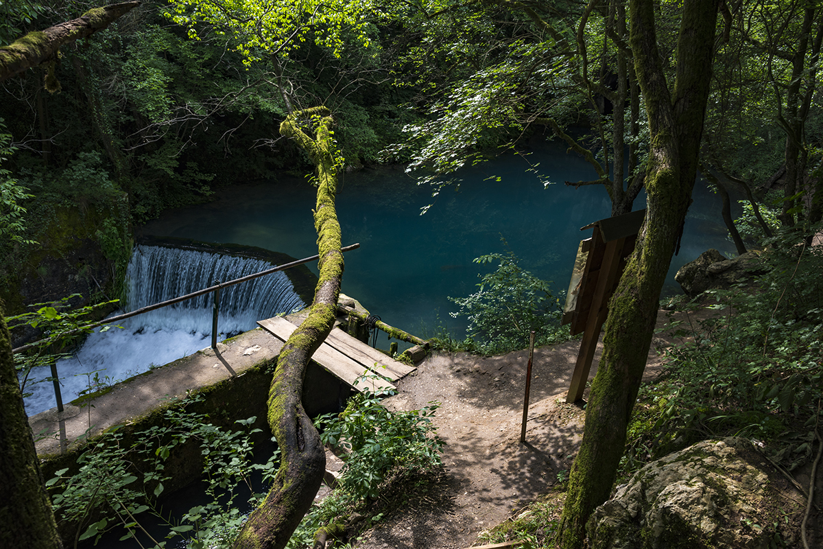 Натиснете снимката за да я уголемите  Име:DSC_8405.jpg Прегледи:0 Размер:1.21 МБ ID:6628346