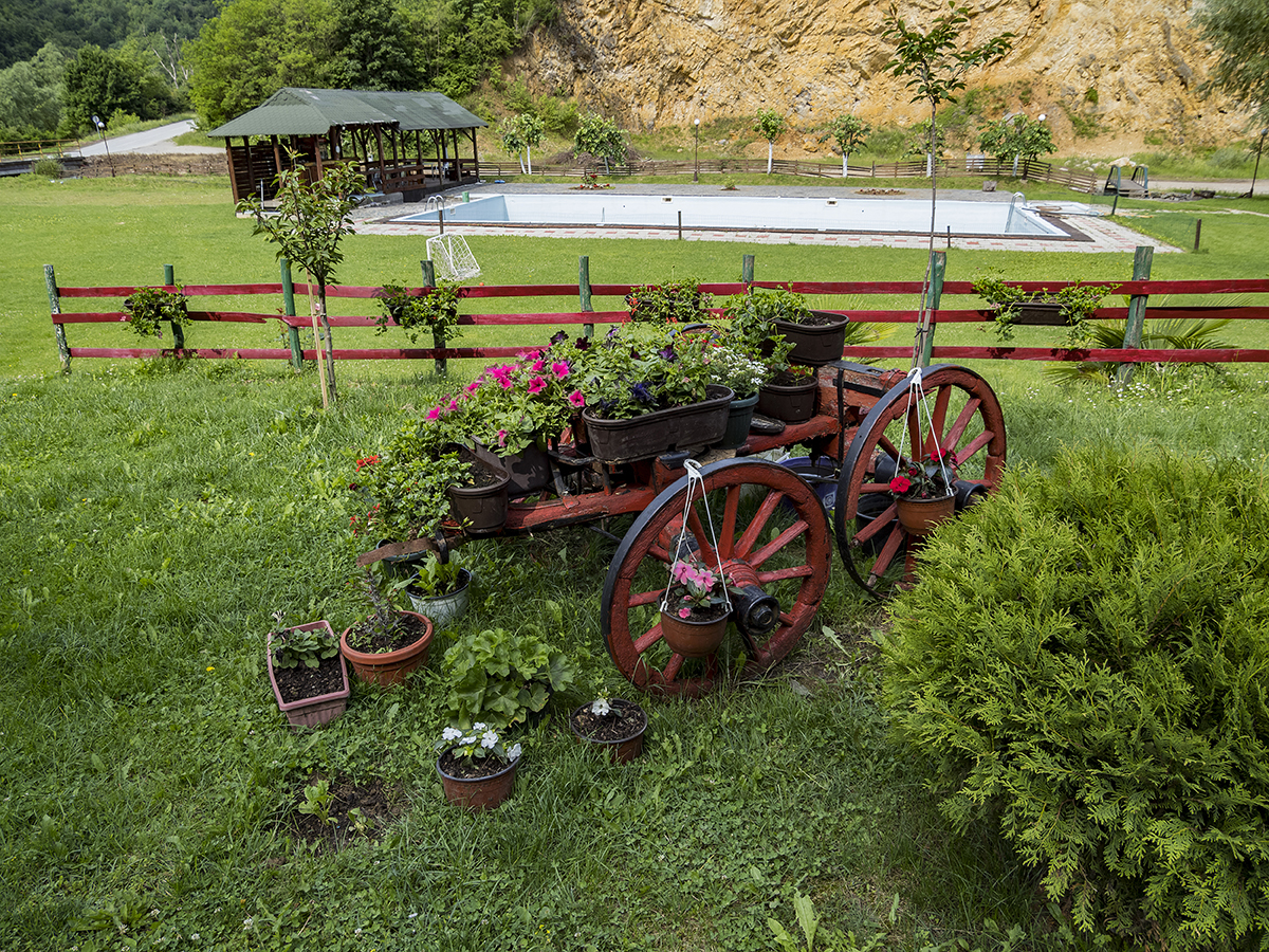 Натиснете снимката за да я уголемите

Име:P6130612.jpg
Прегледи:266
Размер:1.64 МБ
ID:6628361