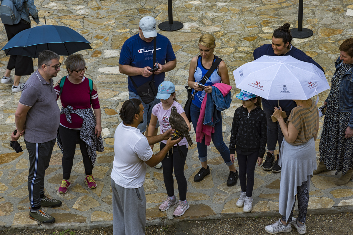 Натиснете снимката за да я уголемите  Име:image_903435.jpg Прегледи:15 Размер:991.4 КБ ID:6628573