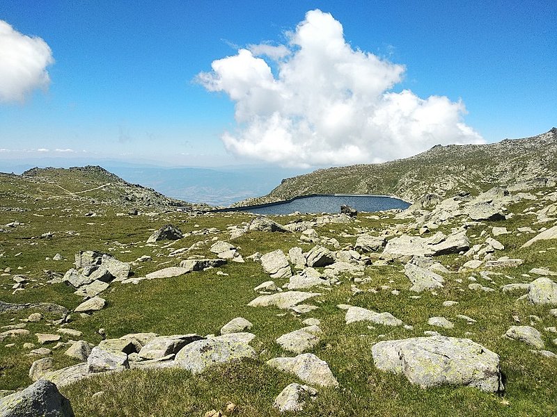 Натиснете снимката за да я уголемите

Име:IMG_20200728_122503_copy_1000x750.jpg
Прегледи:724
Размер:306.7 КБ
ID:6628947