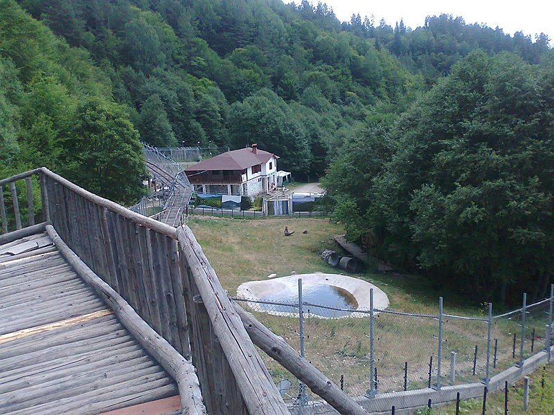 Натиснете снимката за да я уголемите

Име:м1.jpg
Прегледи:161
Размер:218.3 КБ
ID:6631595