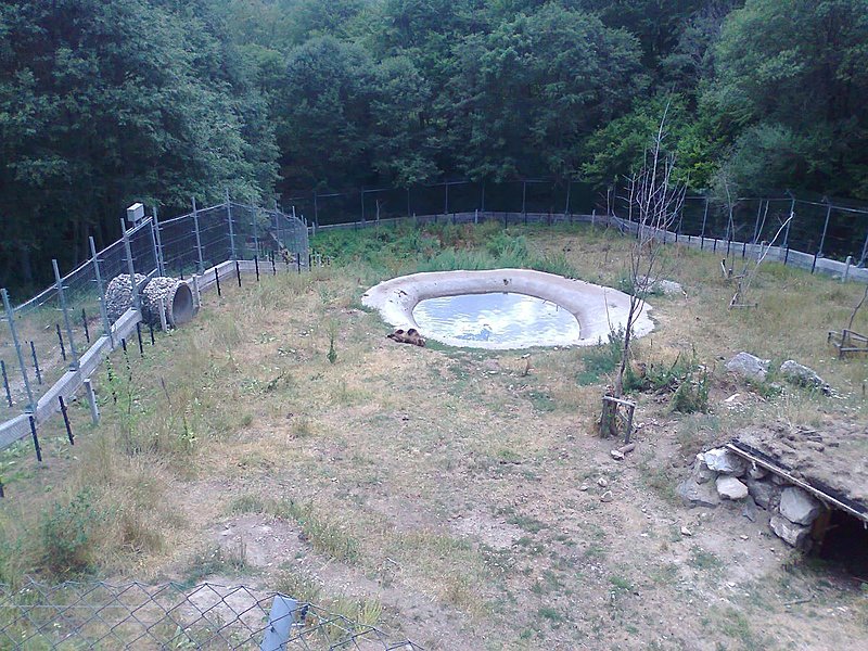 Натиснете снимката за да я уголемите

Име:м2.jpg
Прегледи:162
Размер:248.9 КБ
ID:6631596