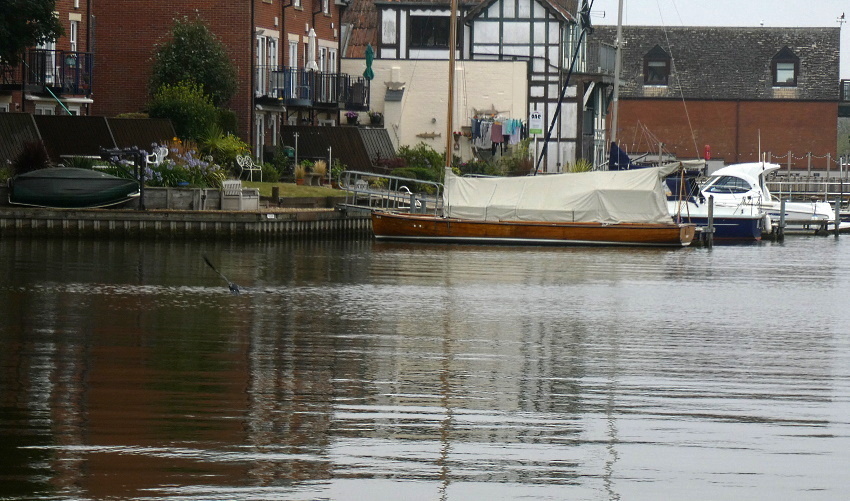 Натиснете снимката за да я уголемите

Име:1 (5).JPG
Прегледи:218
Размер:213.2 КБ
ID:6635768