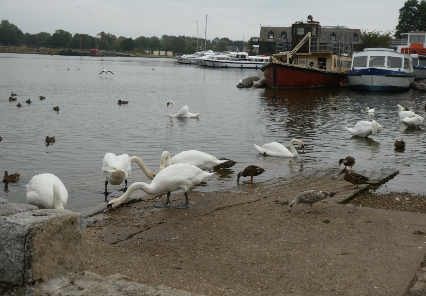Натиснете снимката за да я уголемите

Име:1 (14).JPG
Прегледи:214
Размер:202.3 КБ
ID:6635776