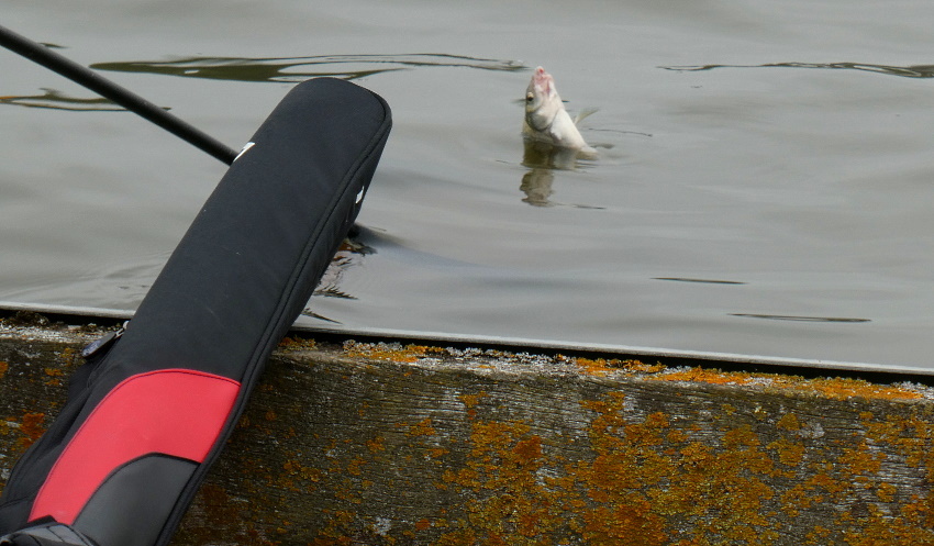 Натиснете снимката за да я уголемите

Име:1 (25).JPG
Прегледи:215
Размер:176.0 КБ
ID:6635799