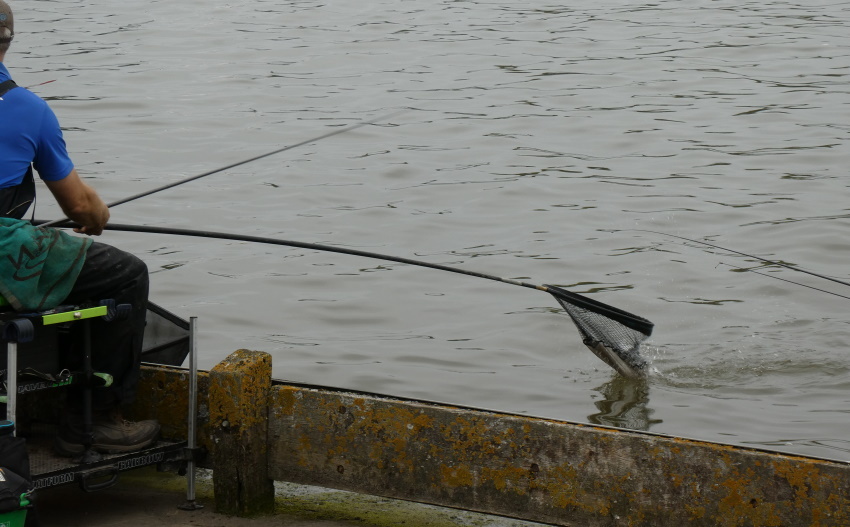 Натиснете снимката за да я уголемите

Име:1 (26).JPG
Прегледи:208
Размер:148.0 КБ
ID:6635801