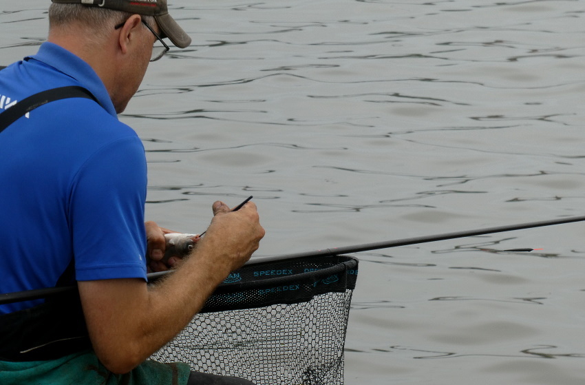 Натиснете снимката за да я уголемите

Име:1 (27).JPG
Прегледи:207
Размер:136.8 КБ
ID:6635802