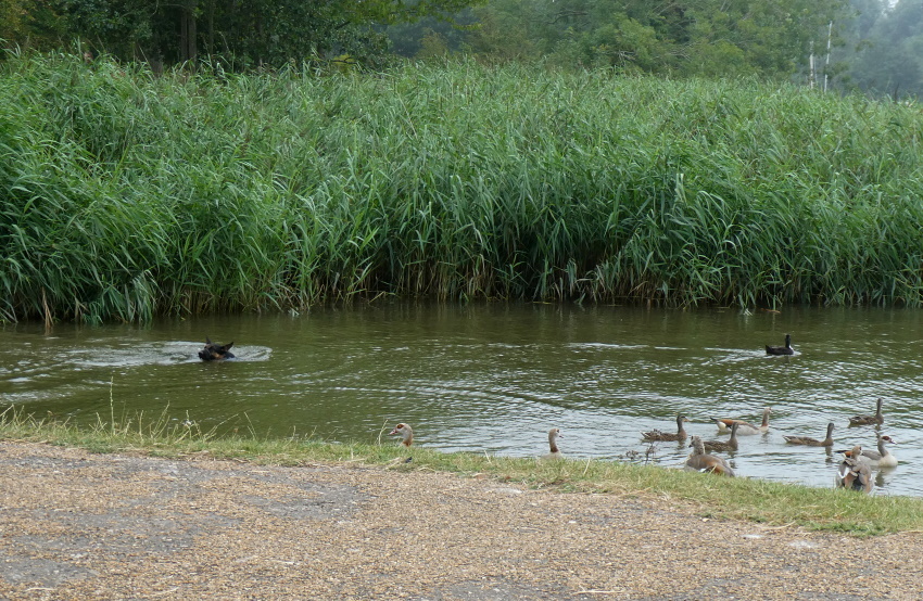 Натиснете снимката за да я уголемите

Име:1 (77).JPG
Прегледи:204
Размер:312.4 КБ
ID:6635858