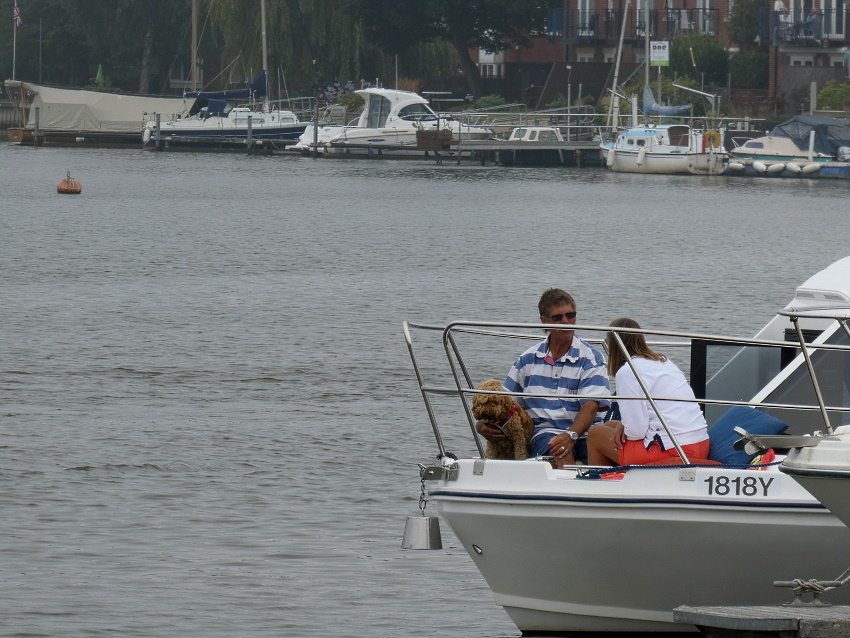 Натиснете снимката за да я уголемите

Име:1 (92).JPG
Прегледи:208
Размер:215.1 КБ
ID:6635872