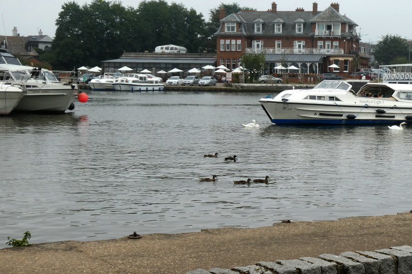 Натиснете снимката за да я уголемите

Име:1 (96).JPG
Прегледи:207
Размер:231.4 КБ
ID:6635873