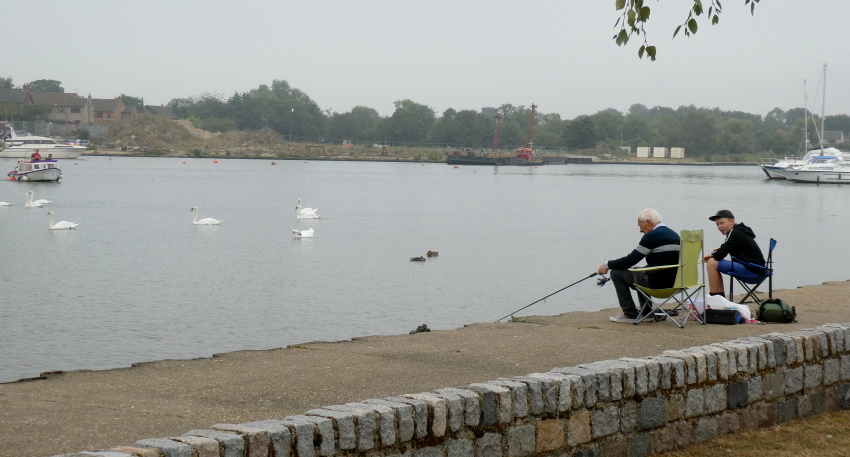 Натиснете снимката за да я уголемите

Име:1 (103).JPG
Прегледи:209
Размер:134.2 КБ
ID:6635882