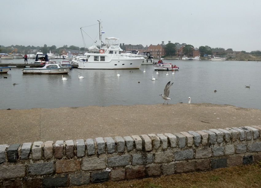 Натиснете снимката за да я уголемите

Име:1 (104).JPG
Прегледи:208
Размер:202.7 КБ
ID:6635883