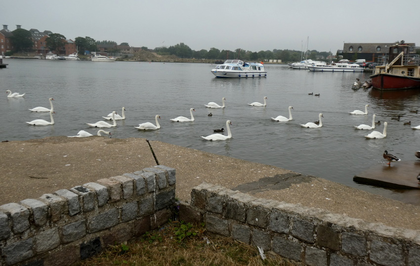 Натиснете снимката за да я уголемите

Име:1 (106).JPG
Прегледи:209
Размер:190.7 КБ
ID:6635889